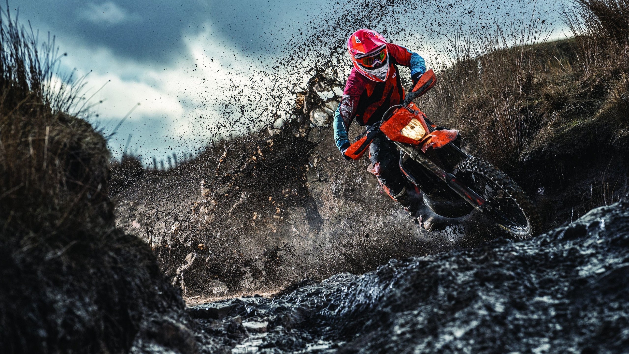 战术的胜利，灰熊如何用体系锁死雄鹿，抢七战书写新传奇